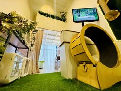 The Promenade@Pelikat (D19), Shop House #576574251